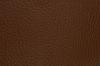 Bridle 3062